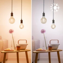 Philips Smart E27-fitting 50 Watt -InterieurKunst Verkoopwinkel 123 28750