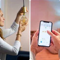 WiZ Connected LED Globe E27 50W Filament Gold Koel Tot Warmwit Licht Dimbaar -InterieurKunst Verkoopwinkel 123 28784