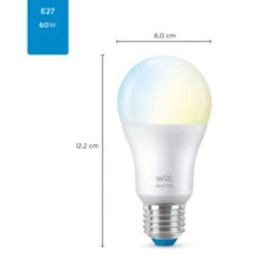 WiZ Connected LED Peer E27 60W Mat Koel Tot Warmwit Licht Dimbaar -InterieurKunst Verkoopwinkel 123 28828