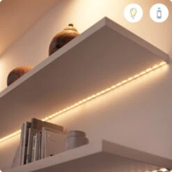 WiZ Connected LED Peer E27 60W Mat Koel Tot Warmwit Licht Dimbaar -InterieurKunst Verkoopwinkel 123 28830