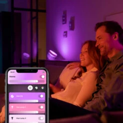 Philips Hue Tafellamp Iris White And Color Ambiance -InterieurKunst Verkoopwinkel 123 28909