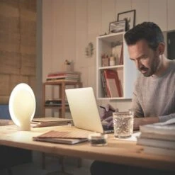 Philips Hue Felicity Tafellamp -InterieurKunst Verkoopwinkel 123 28920