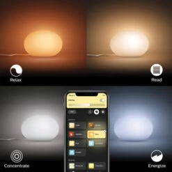Philips Hue Tafellamp Flourish -InterieurKunst Verkoopwinkel 123 28925