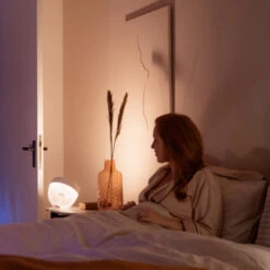 Philips Hue Tafellamp Iris -InterieurKunst Verkoopwinkel 123 28940