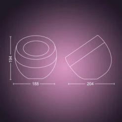 Philips Hue Tafellamp Iris -InterieurKunst Verkoopwinkel 123 28944