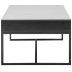 GAMMA Salontafel Nienke Hout/ Metaal Zwart -InterieurKunst Verkoopwinkel 123 3119