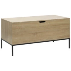 GAMMA Opbergkist Deborah Hout Metaal -InterieurKunst Verkoopwinkel 123 3560