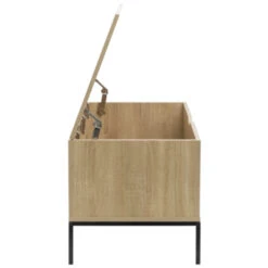 GAMMA Opbergkist Deborah Hout Metaal -InterieurKunst Verkoopwinkel 123 3563