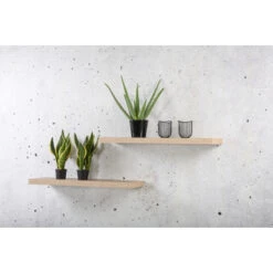 Paneel XL4 38MM 80,2x23,5 Sanoma Eiken -InterieurKunst Verkoopwinkel 123 3891