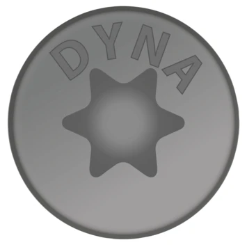 Dynaplus Schroef Universeel Platkop AR-coating TX-25 5.0x40 150 Stuks 2 Dynaplus Schroef Universeel Platkop AR-coating TX-25 5.0x40 150 Stuks - Afbeelding 2