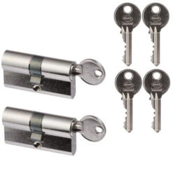 Nemef Profielcilinder Nikkel 30/30 Mm Gelijksluitend 2 Stuks