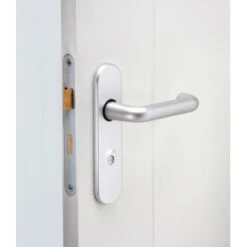 NEMEF 1200 Serie Insteekslot Badkamerslot/wc-slot Met Gelakte Voorplaat Doorn 50mm PC 63mm -InterieurKunst Verkoopwinkel 123 6372