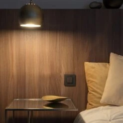 Niko Dimschakelaar Philips Hue Antraciet -InterieurKunst Verkoopwinkel 123 669