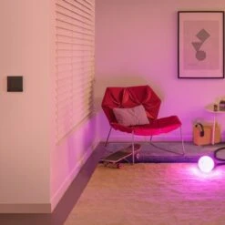 Niko Dimschakelaar Philips Hue Antraciet -InterieurKunst Verkoopwinkel 123 670
