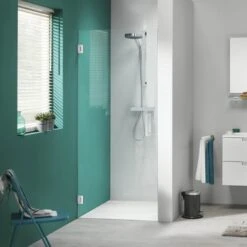 Sealskin Swingdeur Voor Nis I AM 200x80 Cm RVS