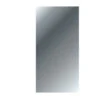 Haceka Spiegel Zilver Glas 4 Mm 45x90 Cm