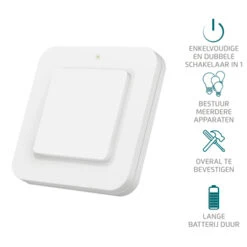 KlikAanKlikUit Wandschakelaar AWST-8800 -InterieurKunst Verkoopwinkel 123 880